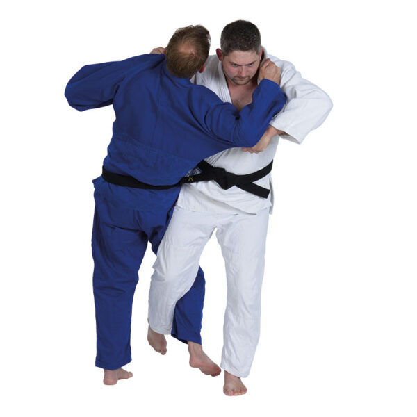 Ashi-Waza
